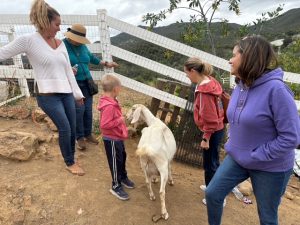 Omega with rescue goat