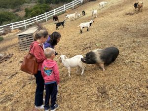 alumni with goats