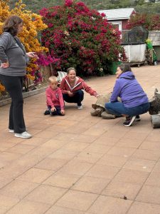 multiple alumni with turtle